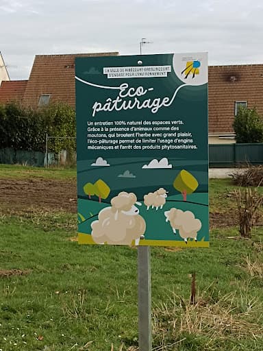 Karigraphie