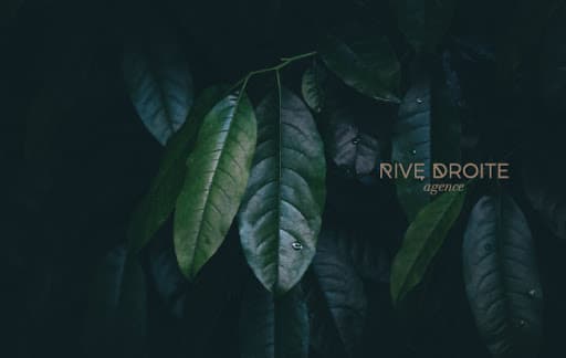 AGENCE RIVE DROITE logo