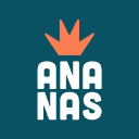 Graphiste Strasbourg - Ananas Studio logo
