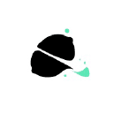 Citron Noir | Agence de communication digitale à Montpellier logo