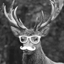 Cerf à Lunettes - Création Site Web Grenoble logo