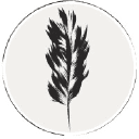 Envol Agency - Branding, Création Graphique et Direction Artistique logo