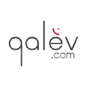 Qalev Intelligence Branding