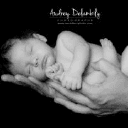 Audrey Delambily - Photographe (Grossesse, Nouveau-né à Toulon) logo