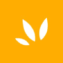 Web Tribe Studio