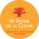 Agence Webmarketing Lyon - Expert SEO - Un baobab sur la colline logo