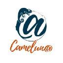 CAMELUNA | AGENCE DE COMMUNICATION VISUELLE ET DIGITALE | CENTRE DE FORMATION logo