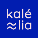 Agence web Kalelia logo