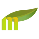 Mango Production - motion design Bordeaux logo