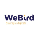 WeBird - Agence marketing digital - SEA, SEO et Analytics