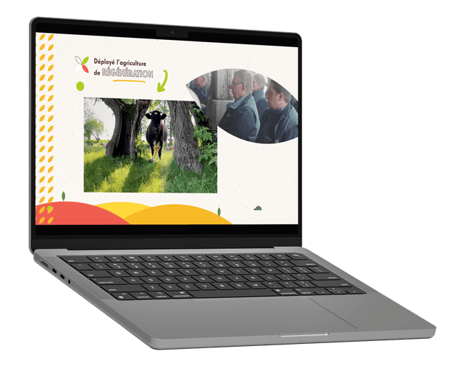 Le motion design pour les voeux 2026