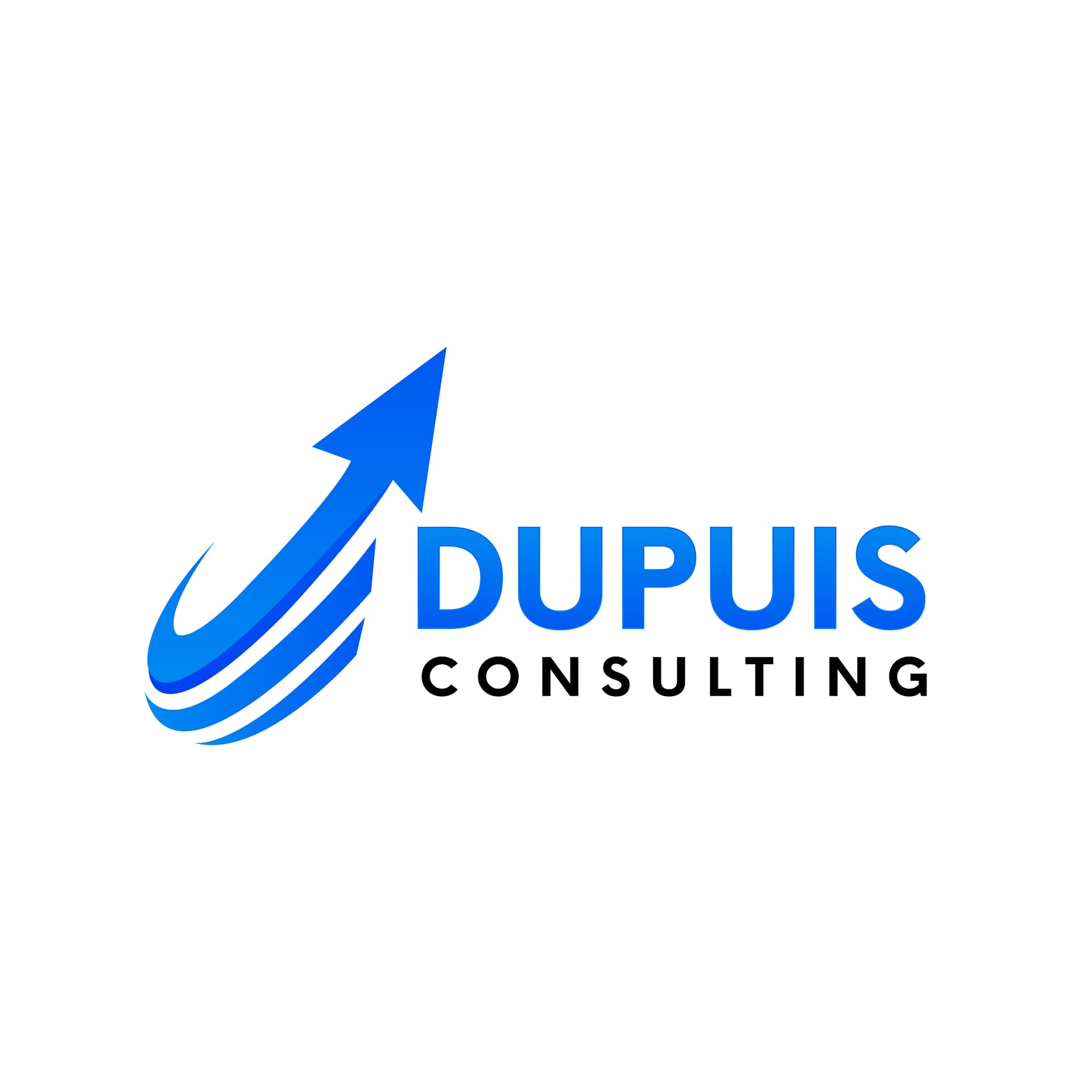 Dupuis Consulting - Agence WordPress