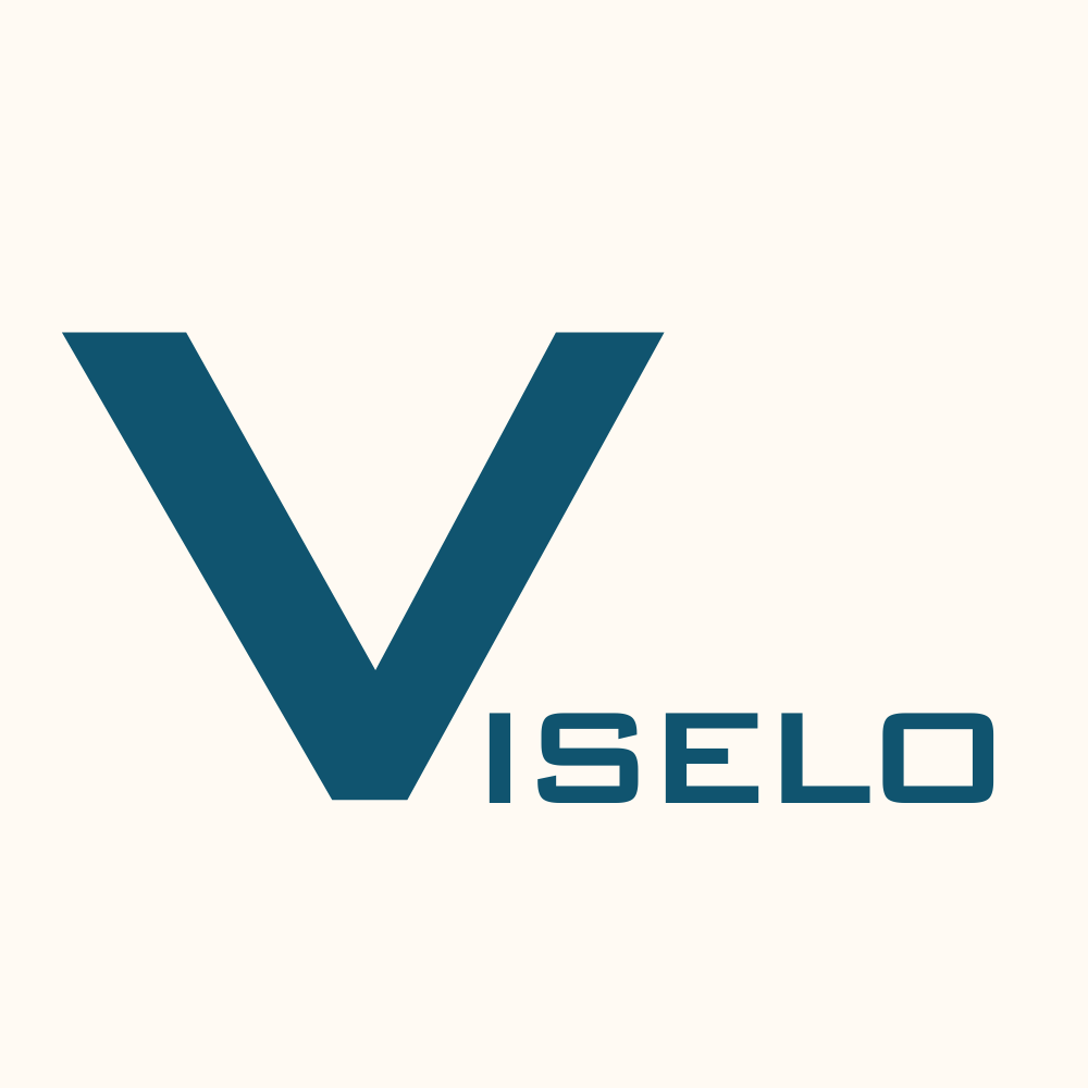 Viselo SEO